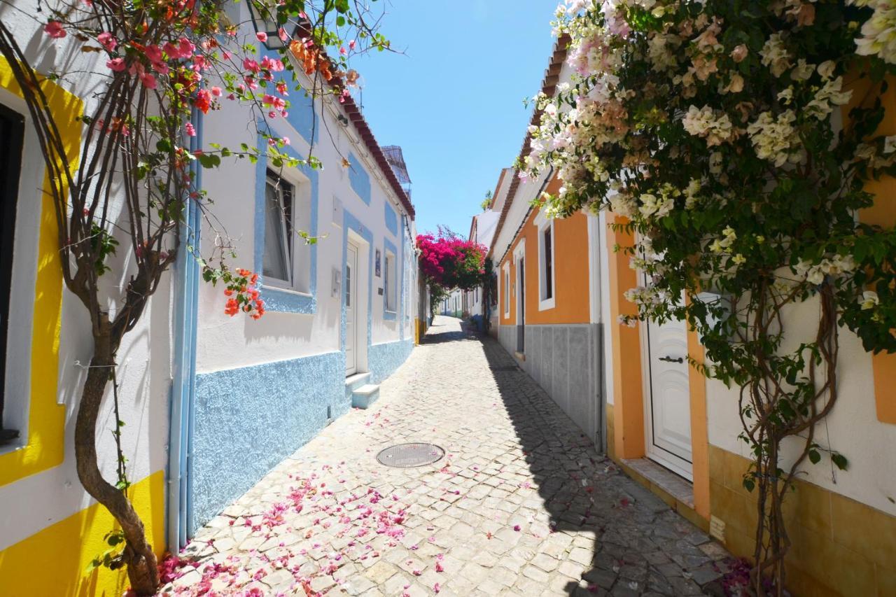 Holiday home Casa Dom Carlos *